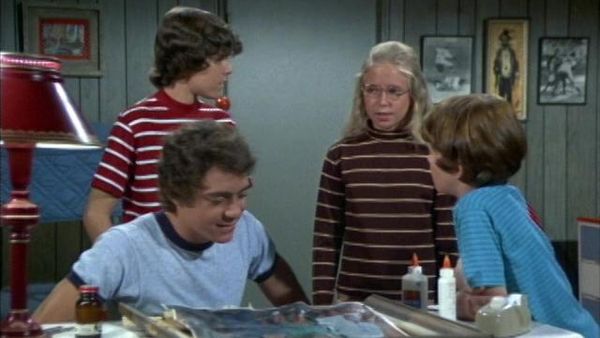 The Brady Bunch - The Not So Rose Colored Glasses