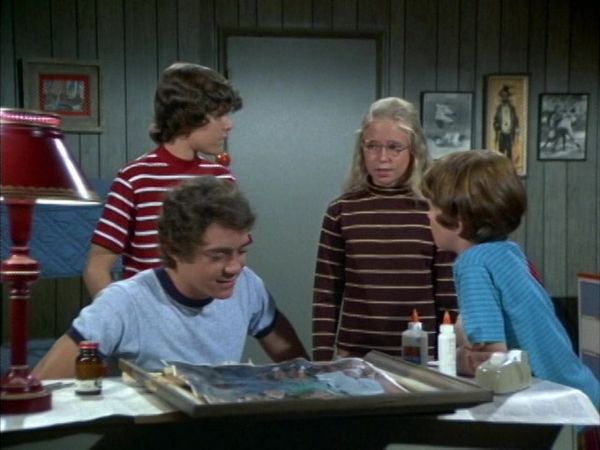 The Brady Bunch - The Not So Rose Colored Glasses