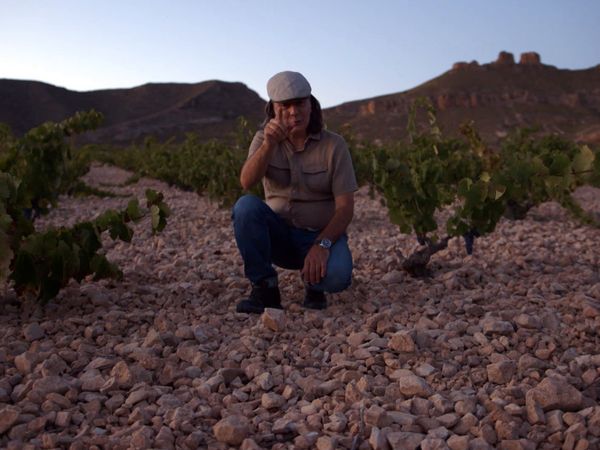 Wineman - Jumilla - Parte 2