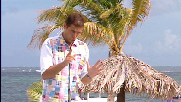 Les garçons de la plage - Délire