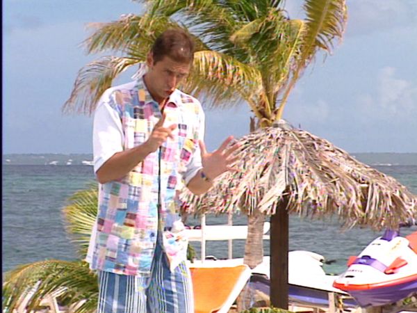 Les garçons de la plage - Délire