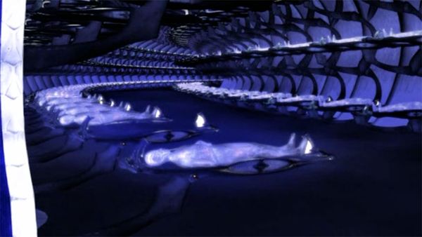 Earth: Final Conflict - Limbo