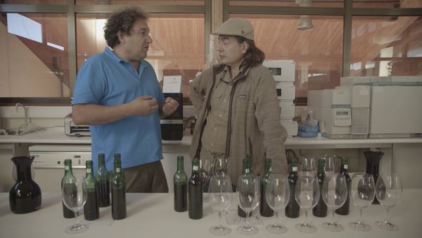 Wineman - Castilla