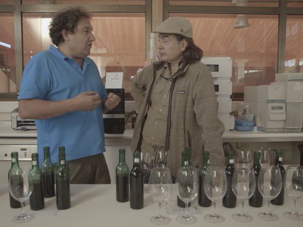 Wineman - Castilla