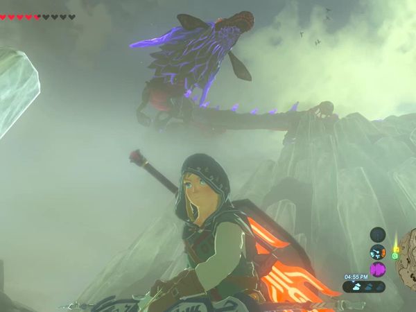 The Legend of Zelda - Breath of the Wild Gameplay - Zebra Gamer - Mount Lanayru! Naydra Dragon Boss!