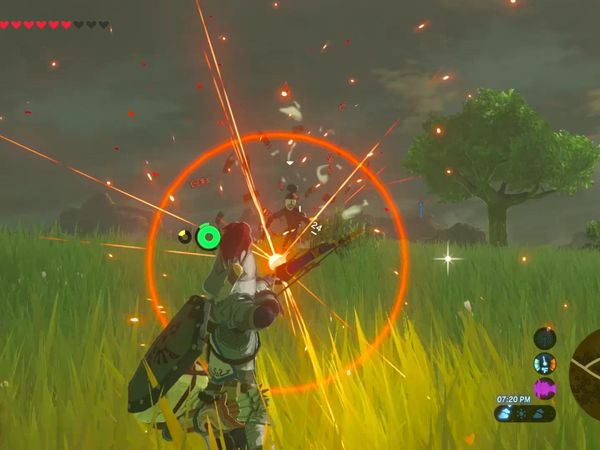 The Legend of Zelda - Breath of the Wild Gameplay - Zebra Gamer - Hyrule Castle Town! New Memory!