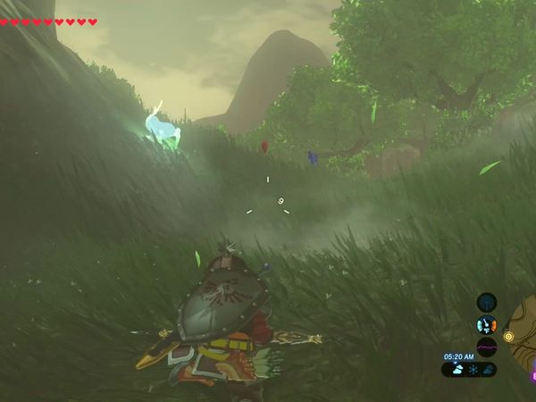 The Legend of Zelda - Breath of the Wild Gameplay - Zebra Gamer - Hyrule Fields! New Memory!