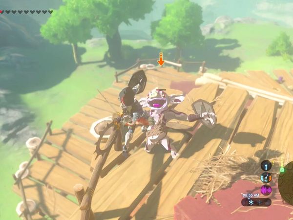 The Legend of Zelda - Breath of the Wild Gameplay - Zebra Gamer - Eldin Canyon Memory!
