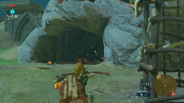 The Legend of Zelda - Breath of the Wild Gameplay - Zebra Gamer - King Rhoam