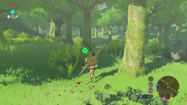 The Legend of Zelda - Breath of the Wild Gameplay - Zebra Gamer - The Quest for More Health