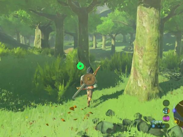 The Legend of Zelda - Breath of the Wild Gameplay - Zebra Gamer - The Quest for More Health