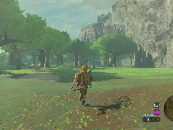 The Legend of Zelda - Breath of the Wild Gameplay - Zebra Gamer - The Warm Doublet