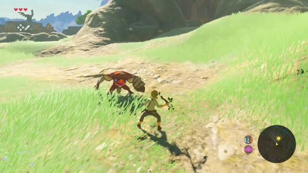 The Legend of Zelda - Breath of the Wild Gameplay - Zebra Gamer - Adventuring the Wild