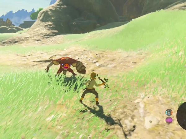 The Legend of Zelda - Breath of the Wild Gameplay - Zebra Gamer - Adventuring the Wild