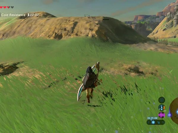 The Legend of Zelda - Breath of the Wild Gameplay - Zebra Gamer - Entering Divine Beast Vah Medoh!
