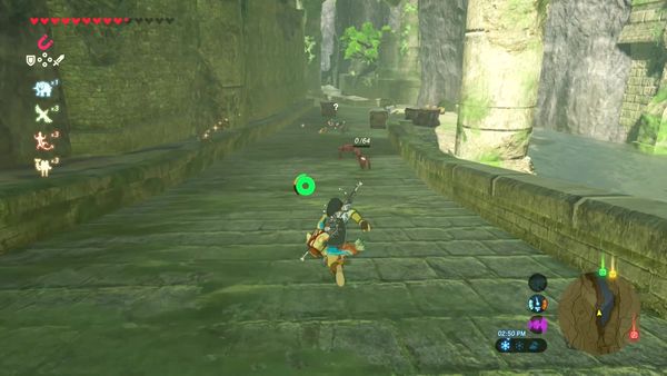 The Legend of Zelda - Breath of the Wild Gameplay - Zebra Gamer - Lanayru Road! New Memory!