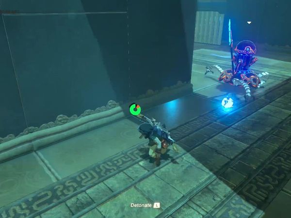 The Legend of Zelda - Breath of the Wild Gameplay - Zebra Gamer - Completing Shrines!