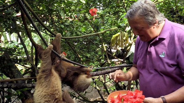 Stephen Fry in Mittelamerika - Costa Rica und Panama