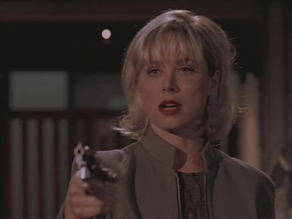 Diagnosis Murder - Murder By Friendly Fire
