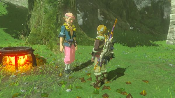 The Legend of Zelda - Breath of the Wild Gameplay - Zebra Gamer - Completing Our House!
