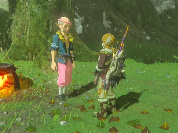 The Legend of Zelda - Breath of the Wild Gameplay - Zebra Gamer - Completing Our House!