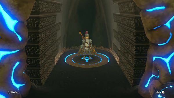 The Legend of Zelda - Breath of the Wild Gameplay - Zebra Gamer - Recital at Warbler's Nest!