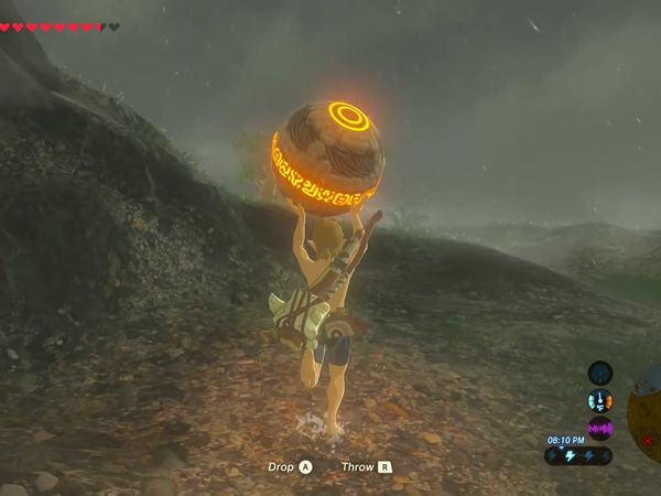 The Legend of Zelda - Breath of the Wild Gameplay - Zebra Gamer - Clip: Stranded on Eventide Island!