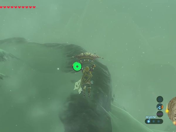 The Legend of Zelda - Breath of the Wild Gameplay - Zebra Gamer - Leviathan Bones!