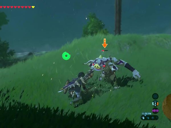 The Legend of Zelda - Breath of the Wild Gameplay - Zebra Gamer - Clip: Tarrey Town Complete! Wedding!