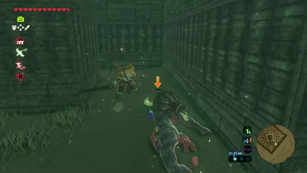 The Legend of Zelda - Breath of the Wild Gameplay - Zebra Gamer - Clip: North Lomei Labyrinth!