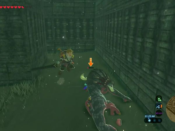 The Legend of Zelda - Breath of the Wild Gameplay - Zebra Gamer - Clip: North Lomei Labyrinth!