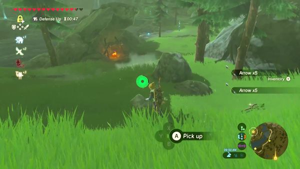 The Legend of Zelda - Breath of the Wild Gameplay - Zebra Gamer - Tons of Arrows!