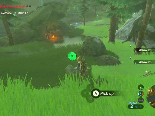 The Legend of Zelda - Breath of the Wild Gameplay - Zebra Gamer - Tons of Arrows!