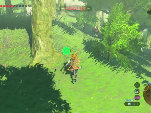 The Legend of Zelda - Breath of the Wild Gameplay - Zebra Gamer - Side Quests! Treasure Under the Sea!