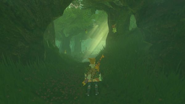 The Legend of Zelda - Breath of the Wild Gameplay - Zebra Gamer - Clip: Korok Forest!