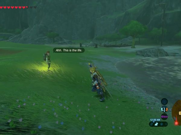 The Legend of Zelda - Breath of the Wild Gameplay - Zebra Gamer - Completing Zora Gear!
