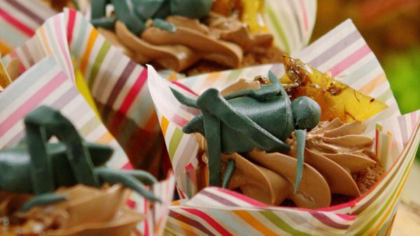 Sucre en folie - Cupcakes: Pique-nique