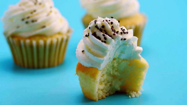 Sucre en folie - Cupcakes - L'animalerie
