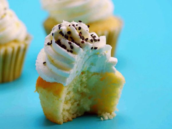 Sucre en folie - Cupcakes - L'animalerie
