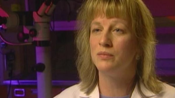 Archivos Forenses - Condena por huella de palma de mano