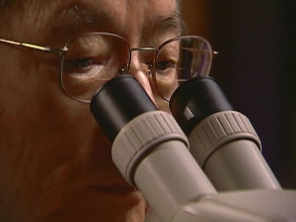 Archivos Forenses - La apuesta
