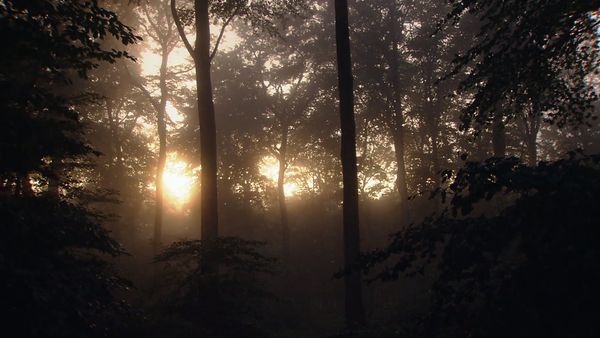 Great Places of the World - The Black Forest in Germany