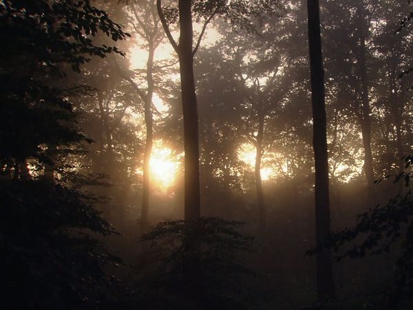 Great Places of the World - The Black Forest in Germany