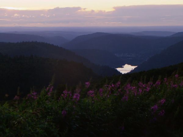 Great Places of the World - The Vosges Mountains in France
