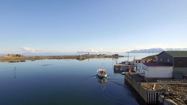 King of Currents: A Gulf Stream Journey - From the Azores to the Arctic Circle