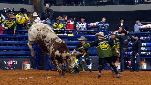 PBR Global Cup - 2020 PBR Global Cup Arlington Championship Round