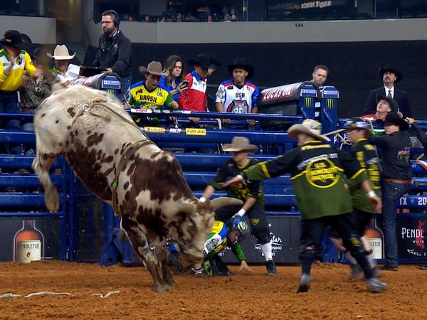 PBR Global Cup - 2020 PBR Global Cup Arlington Championship Round