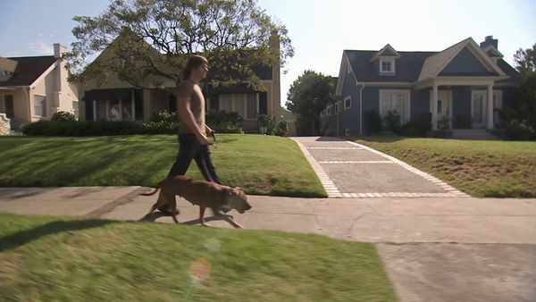 O Encantador de Cães - Anger Management
