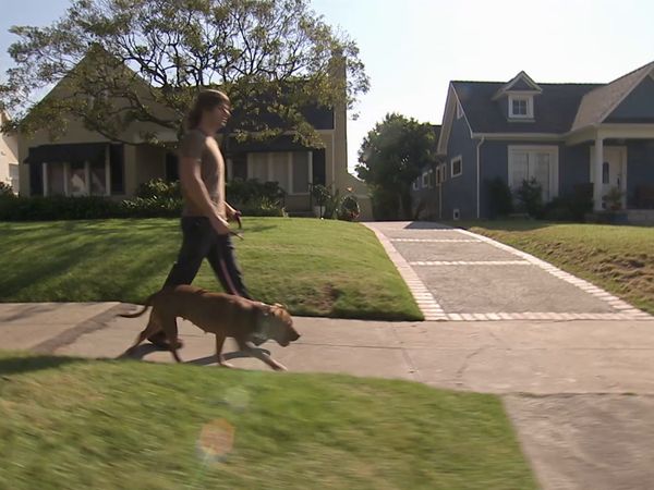 O Encantador de Cães - Anger Management