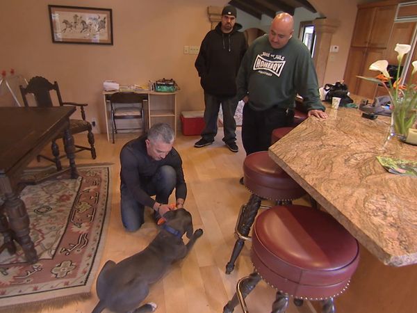 O Encantador de Cães - Homeboys e cães de caça